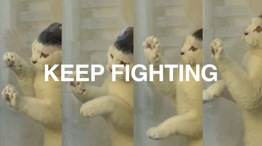 Keep Fighting — editorial visual
